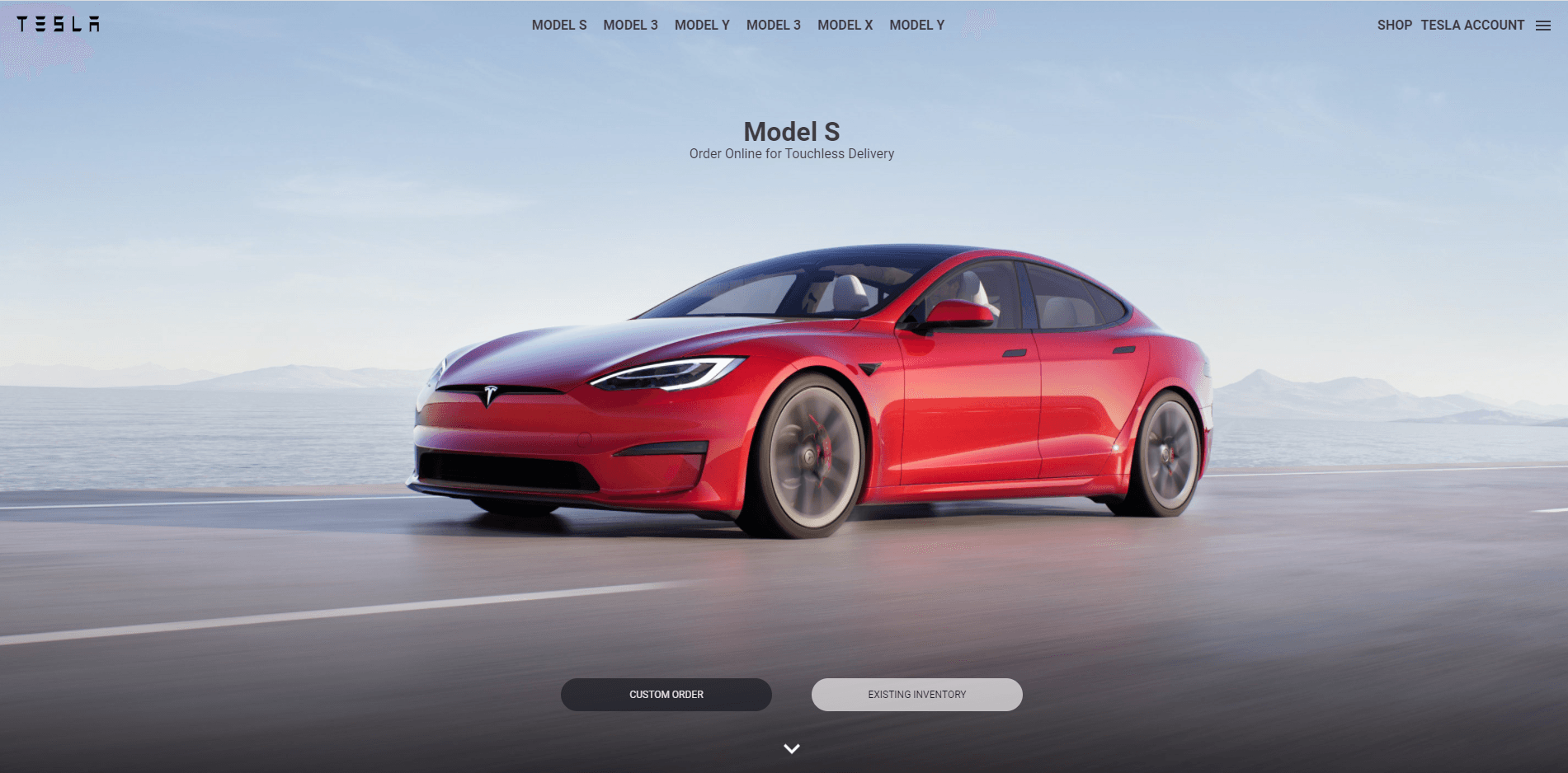 Tesla Experience project interface